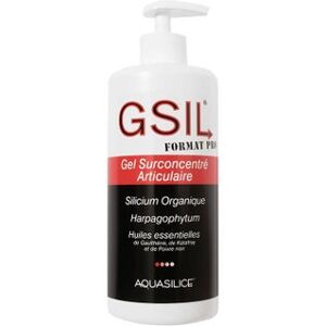 Aquasilice GSIL Gel Surconcentré Articulaire Format Pro 500ml