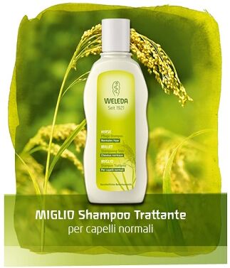 Weleda miglio sh.tratt.190ml