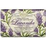 Nesti Dante Lavanda, Officinale 150 g