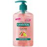 Sanytol Jabón De Manos antibacteriano cocina 250 ml