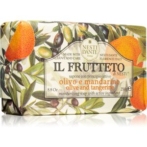 Nesti Dante Il Frutteto Olive and Tangerine natural soap 250 g