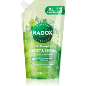 Radox Protect & Refresh liquid soap refill 500 ml