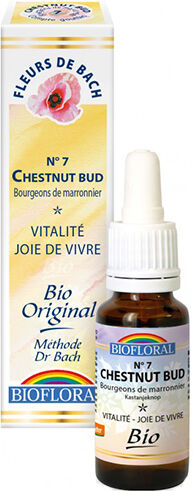 Biofloral Fleur de Bach n°7 Chestnut Bud 20ml