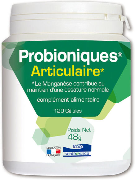 Santé Silice Probioniques Articulaire 120 gélules