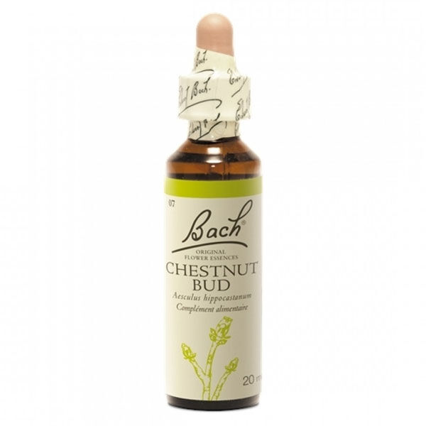 Fleurs de Bach n°07 Chestnut Bud - Bourgeon de Marronnier d'Inde 20ml