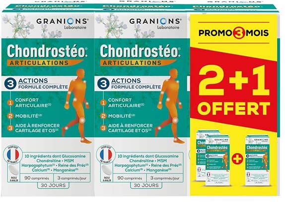 Laboratoire des Granions Granions Chondrostéo Articulations Lot de 3 x 90 comprimés