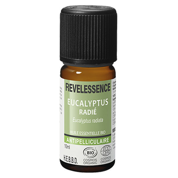 Florame Revel'Essence Huile Essentielle d'Eucalyptus Radié Bio 10ml