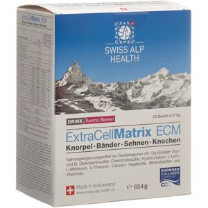 ExtraCellMatrix Matrix ECM Drink für Gelenke Knorpel Bänder Sehnen und Knochen Aroma Beeren (30 Stück)