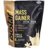 isostar® Mass Gainer Vanille 0.7 kg