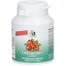 Avitale Cranberry 100 ct