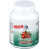 Avitale Cranberry 60 ct