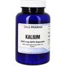 Gall Pharma Kalium 200 mg GPH Kapseln 60 ct