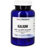 Gall Pharma Kalium 200 mg GPH Kapseln 120 ct
