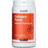 Casida® Collagen Pulver – Kollagen Hydrolysat 0.48 kg