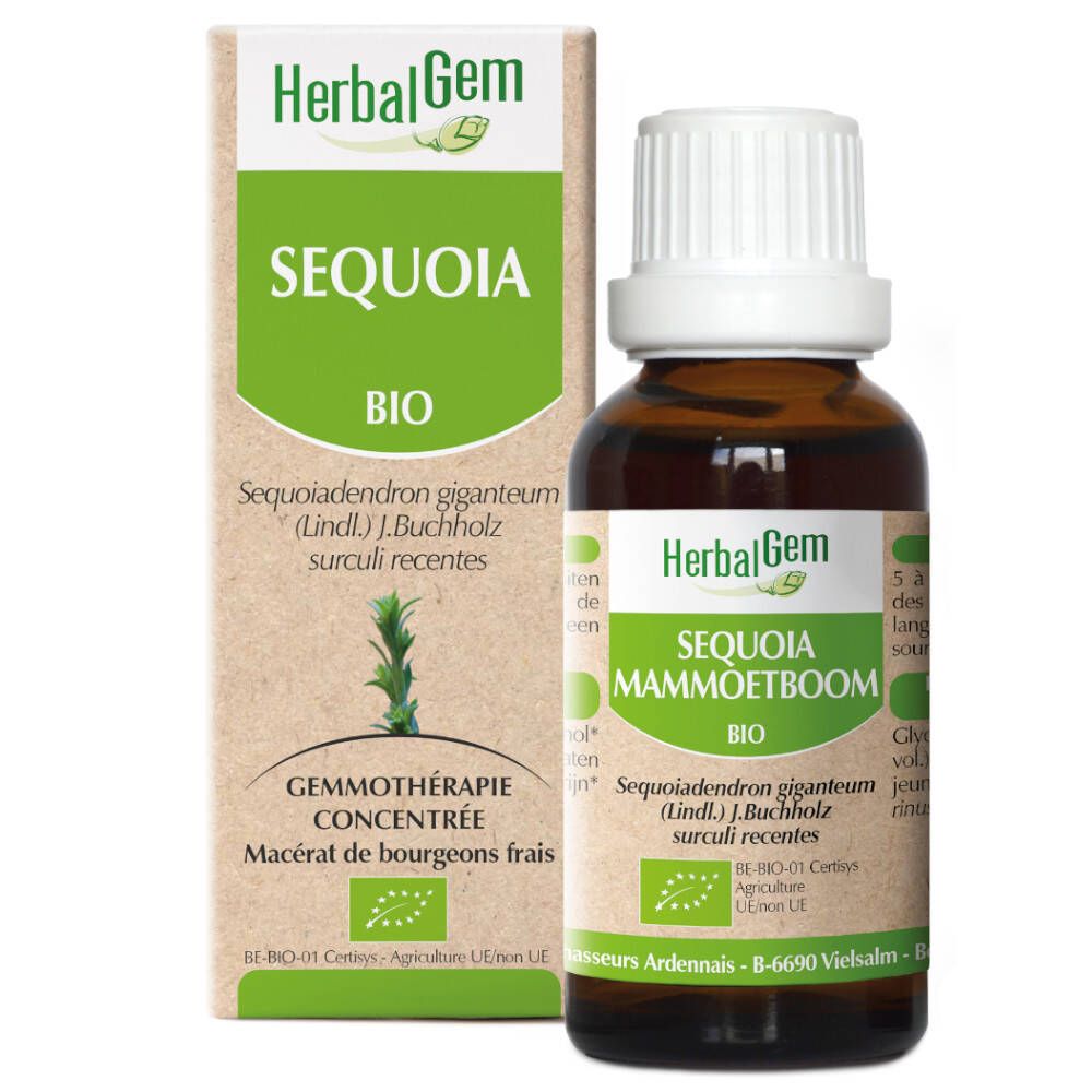 HerbalGem Riesenmammutbaum Bio