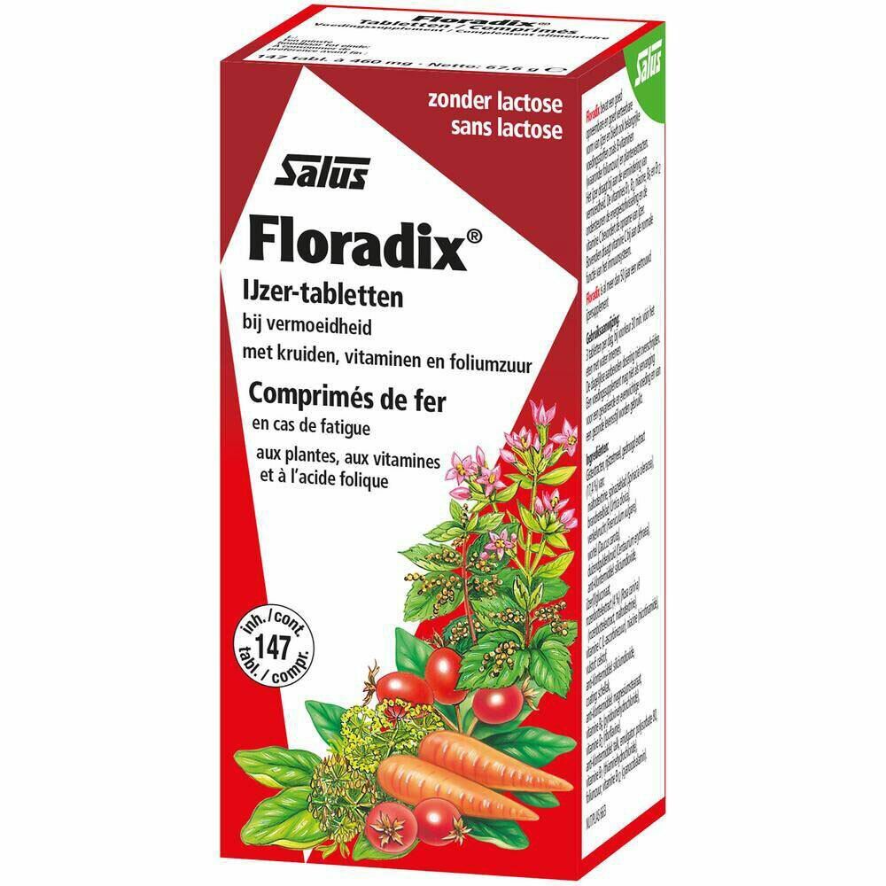 OMEGA PATCH Floradix® Eisentabletten