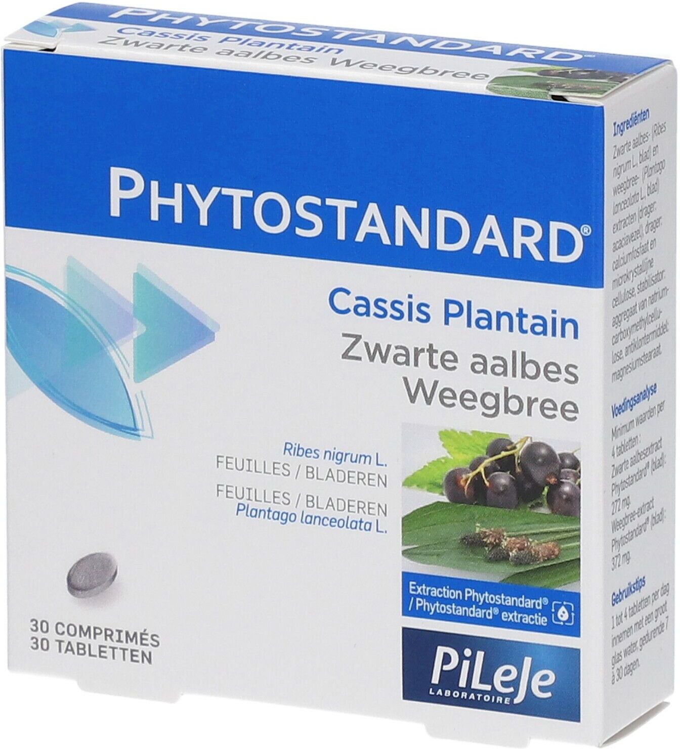 PILEJE BENELUX Phytostandard® Cassis Plantain