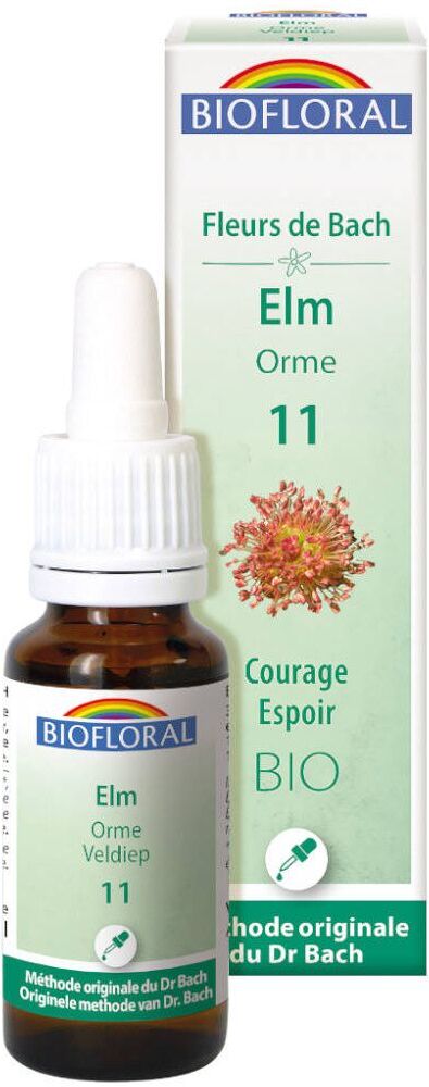 PRANAROM INTERNATIONAL Biofloral 11 - Ulme - 20 ml