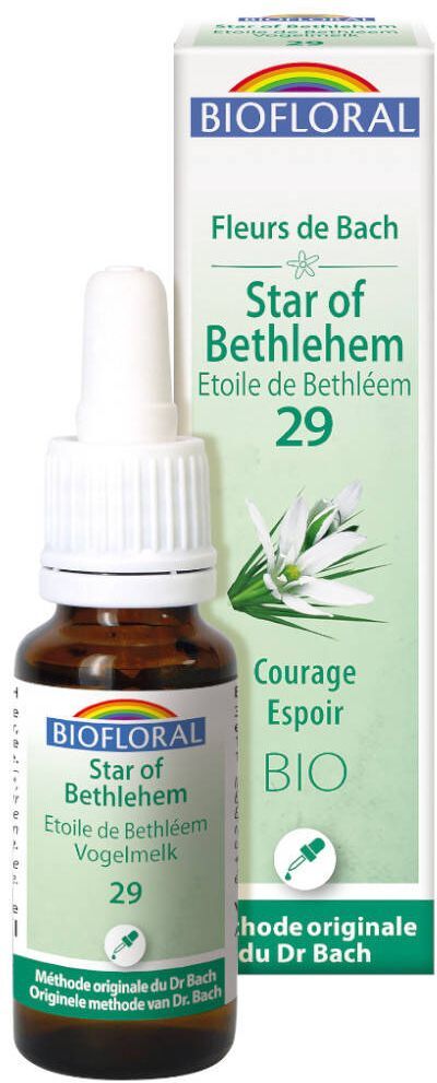 PRANAROM INTERNATIONAL Biofloral 29 - Stern von Bethlehem - Etoile de Bethléem - 20 ml