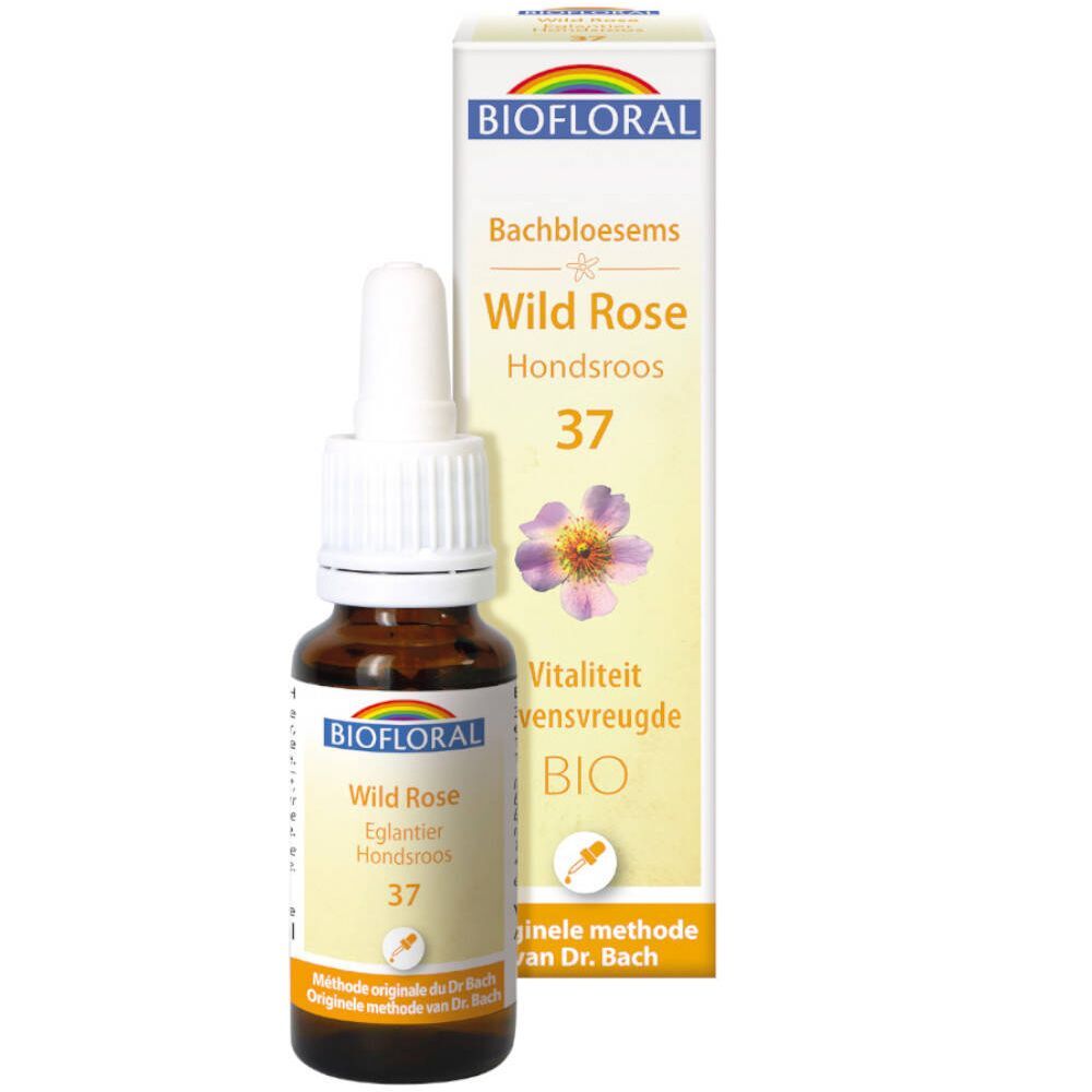 PRANAROM INTERNATIONAL Biofloral Wilde Rose - Hagebutte