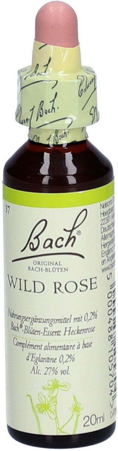 Bach®-Blüte Wild Rose (Heckenrose)