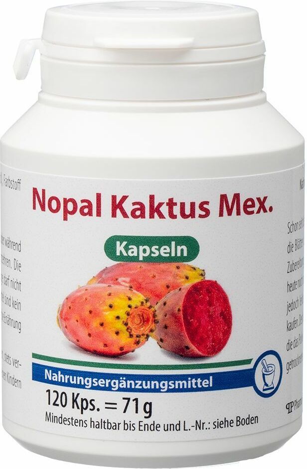 no brand Nopal Kaktus Mex.