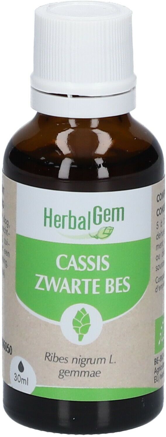 Herbalgem Schwarze Johannisbeere Bio