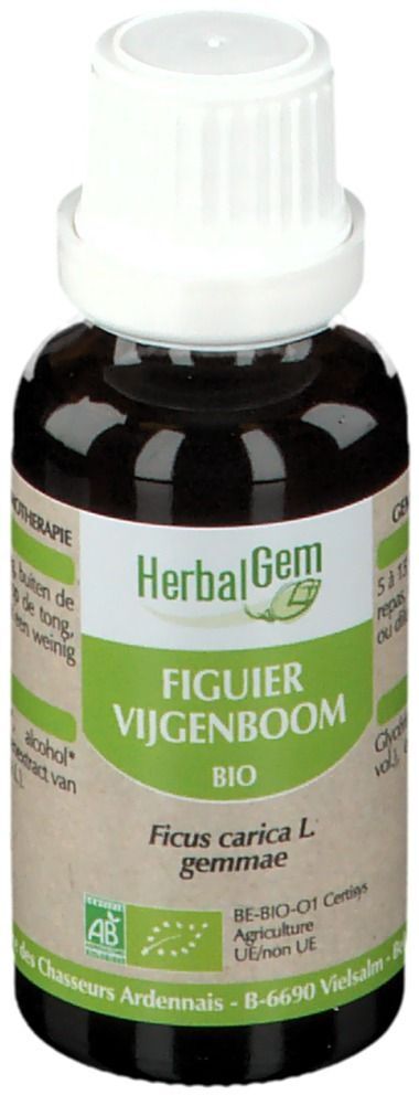 Herbalgem Feigenbaum Bio