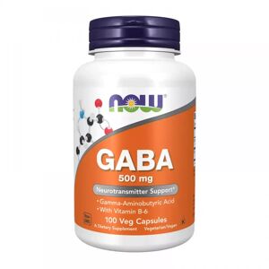 Now Foods Gaba + vitamin b6 500 mg/2 mg - 100 veg caps