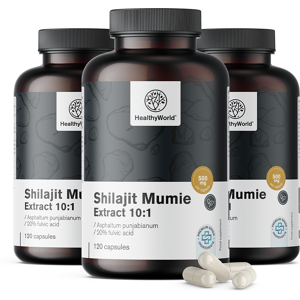 HealthyWorld 3x Shilajit Mumie Extract 10:1, zusammen 360 Kapseln