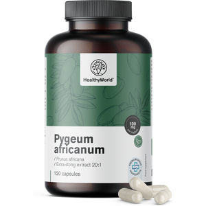 HealthyWorld Pygeum – Extrakt aus afrikanischem Pflaumenbaum, 120 Kapseln