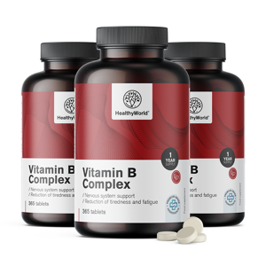 HealthyWorld 3x Vitamin B-Komplex, zusammen 1095 Tabletten