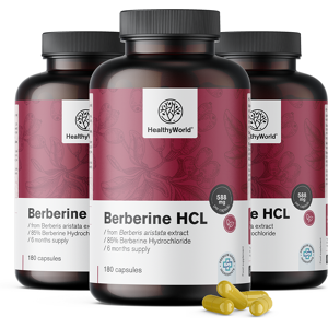 HealthyWorld 3x Berberin HCL 500 mg, zusammen 540 Kapseln