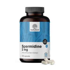 HealthyWorld Spermidin 3 mg – aus Weizenkeimextrakt, 120 Kapseln