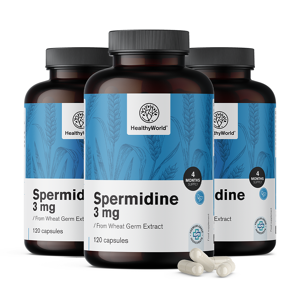 HealthyWorld 3x Spermidin 3 mg – aus Weizenkeimextrakt, zusammen 360 Kapseln
