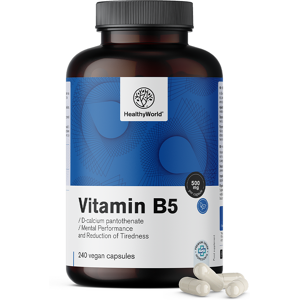 HealthyWorld Vitamin B5 500 mg, 240 Kapseln