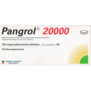 PANGROL 20.000 magensaftresistente Tabletten 100 St