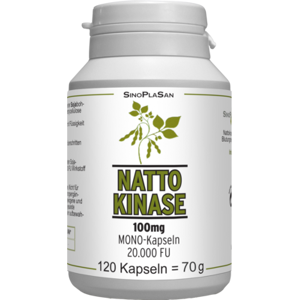 NATTOKINASE 100 mg Mono 20.000 FU Kapseln 120 St