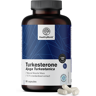 HealthyWorld Turkesterone 1200 mg, 90 Kapseln