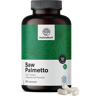 HealthyWorld Saw Palmetto - Sägepalme 320 mg, 180 Kapseln