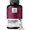 HealthyWorld Forskolin – Extrakt aus Indischer Buntnessel 20 mg, 60 Kapseln