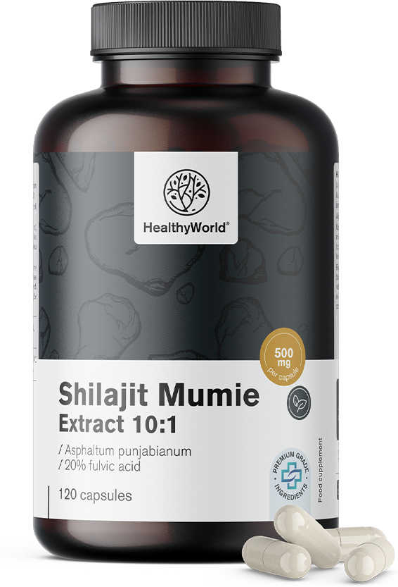 HealthyWorld Shilajit Mumie Extract 10:1, 120 Kapseln