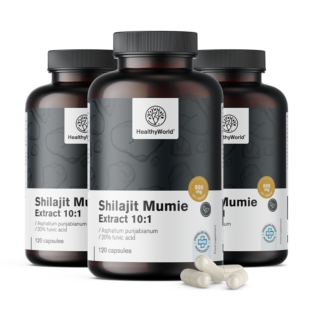 HealthyWorld 3x Shilajit Mumie Extract 10:1, zusammen 360 Kapseln