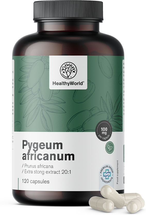 HealthyWorld Pygeum – Extrakt aus afrikanischem Pflaumenbaum, 120 Kapseln