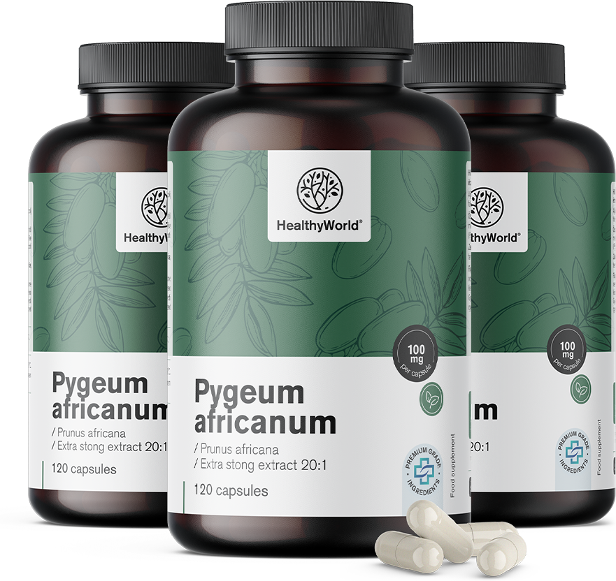 HealthyWorld 3x Pygeum – Extrakt aus afrikanischem Pflaumenbaum, zusammen 360 Kapseln