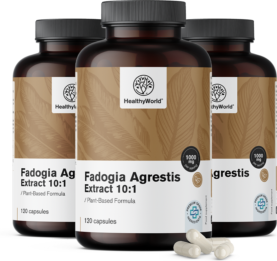 HealthyWorld 3x Fadogia Agrestis 1000 mg, zusammen 360 Kapseln