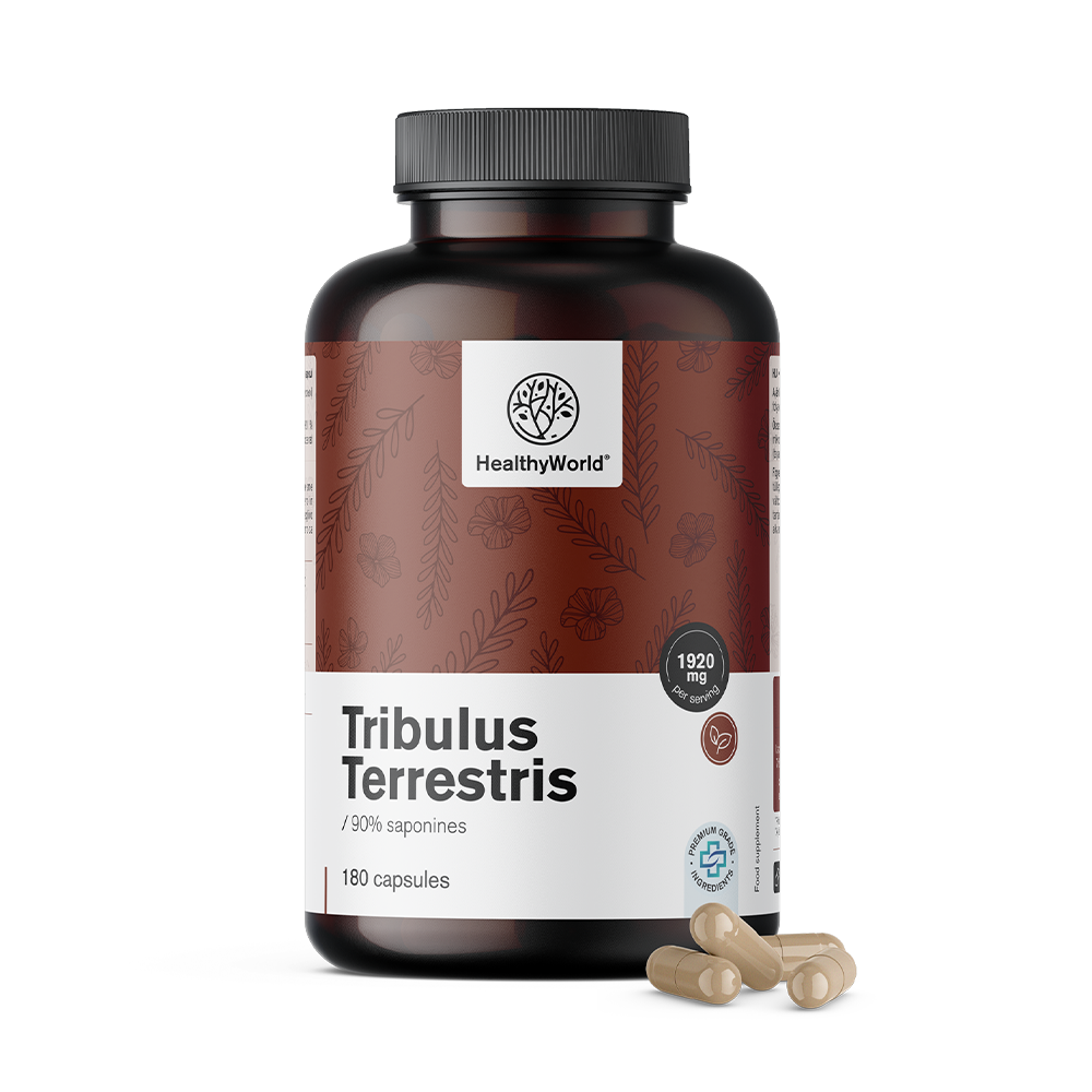 HealthyWorld Erd Burzeldorn – Tribulus 1920 mg, 180 Kapseln