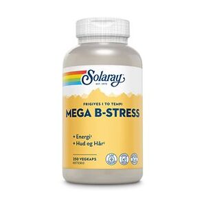 Solaray Mega B-Stress 250 kapsler