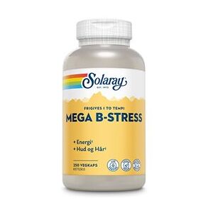 Solaray Mega B-Stress 250 kapsler