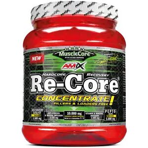 Amix Nutrition RE-CORE CONCENTRATE 540g Ponche de Fruta